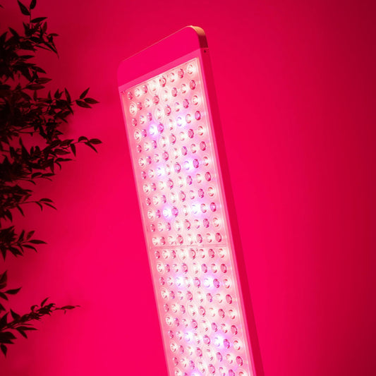 Red light LED panel in studio